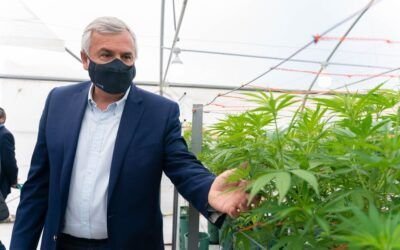 Jujuy presentó el primer producto medicinal de cannabis hecho en Argentina: “Es una planta virtuosa”